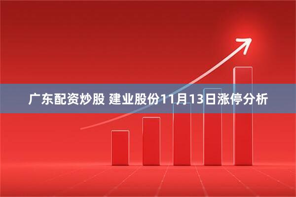 广东配资炒股 建业股份11月13日涨停分析