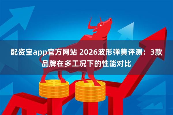 配资宝app官方网站 2026波形弹簧评测:3款品牌在多工况下的性能对比